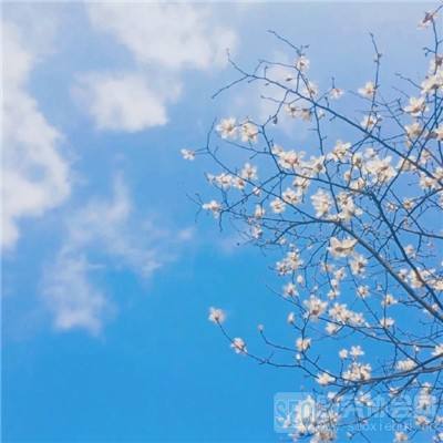 重瞳子官方版(暂未上线)v1.0.5 安卓版